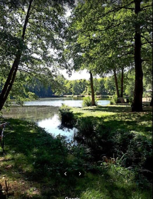 Sonnige Etagen-Wohnung, Alleinige Nutzung, Wasserbett Neunkirchen  Dış mekan fotoğraf